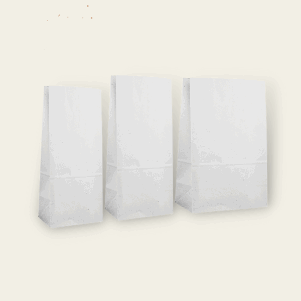 Paper Bag White