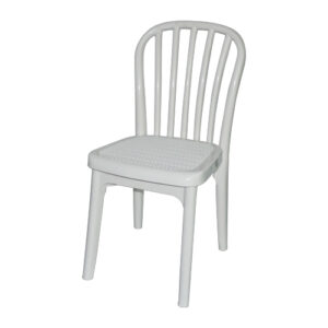 Fancy Dining Chair Heavy Duty